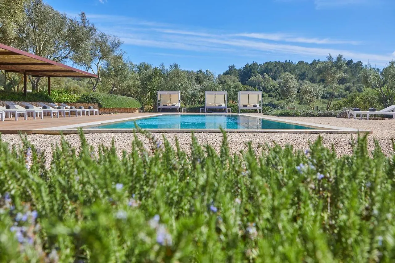 Son Penya Adults Only Petit Hotel & Spa サン・リョレンツ・デス・カルダサル