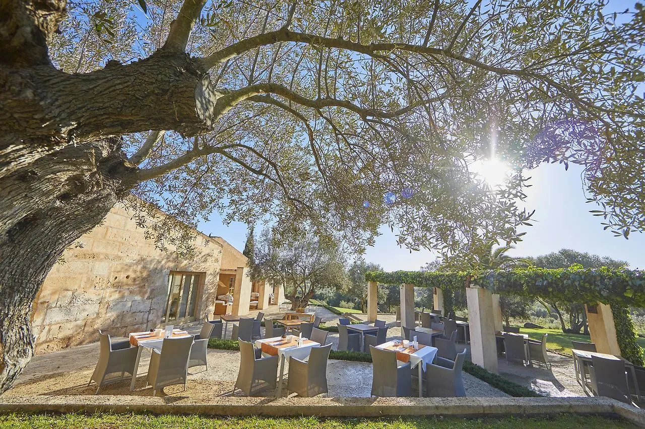 Son Penya Adults Only Petit Hotel & Spa サン・リョレンツ・デス・カルダサル スペイン