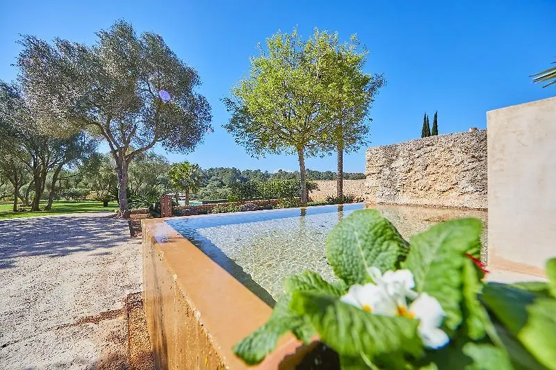 Son Penya Adults Only Petit Hotel & Spa サン・リョレンツ・デス・カルダサル